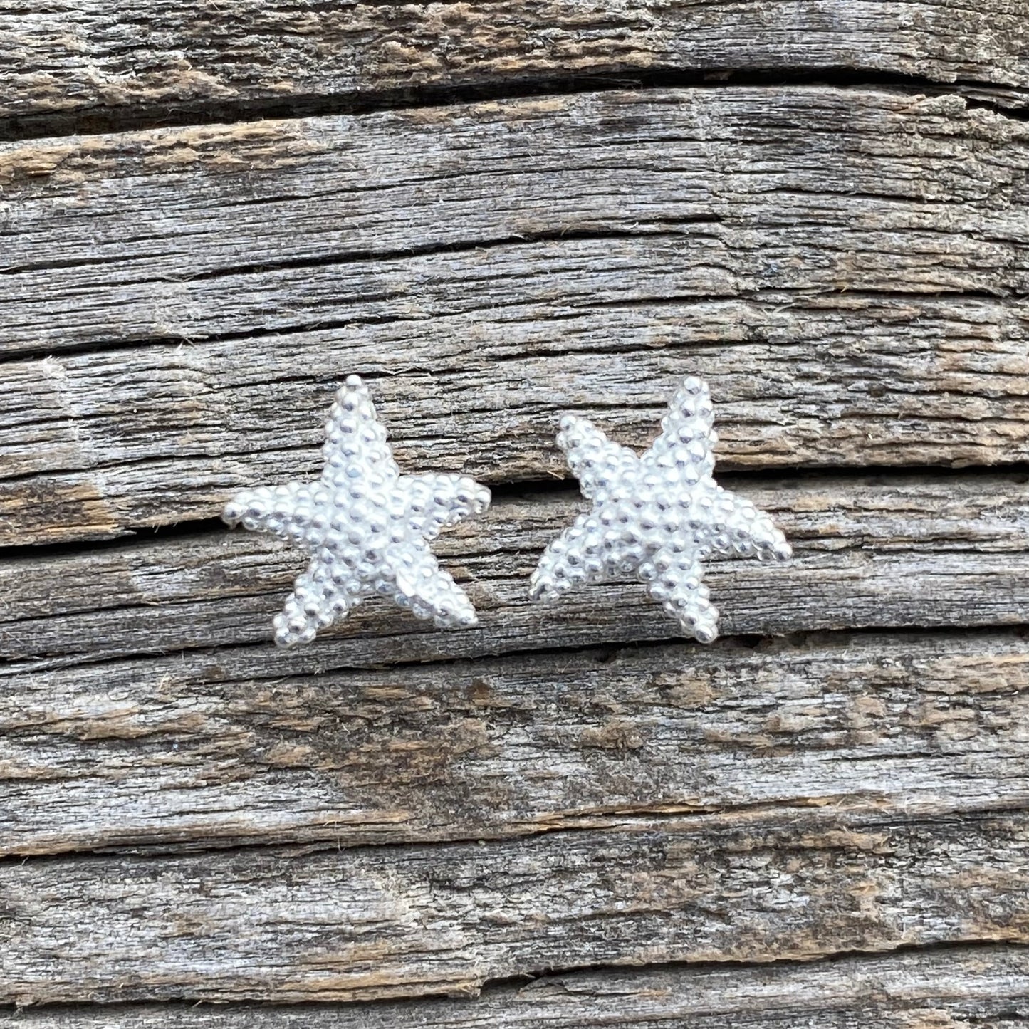 SJØSTJERNE øredobber